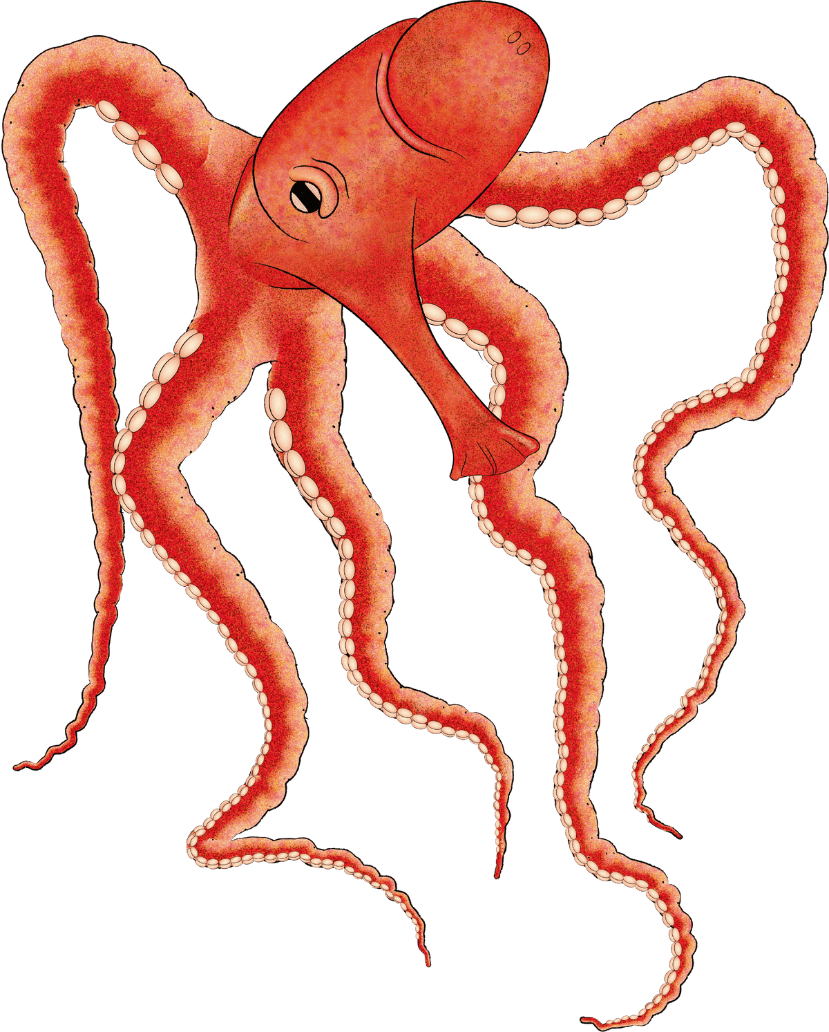 1_d7b5277c-b818-4e44-b53f-bff526eaa3fb.png